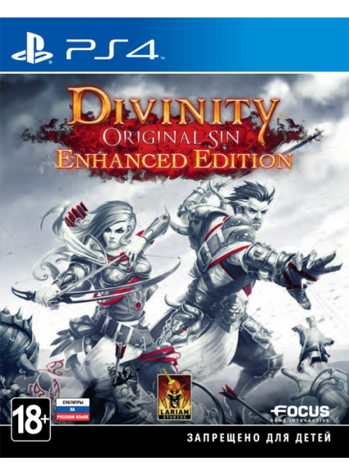 Divinity: Original Sin. Enhanced Edition: игра для Sony PlayStation 4