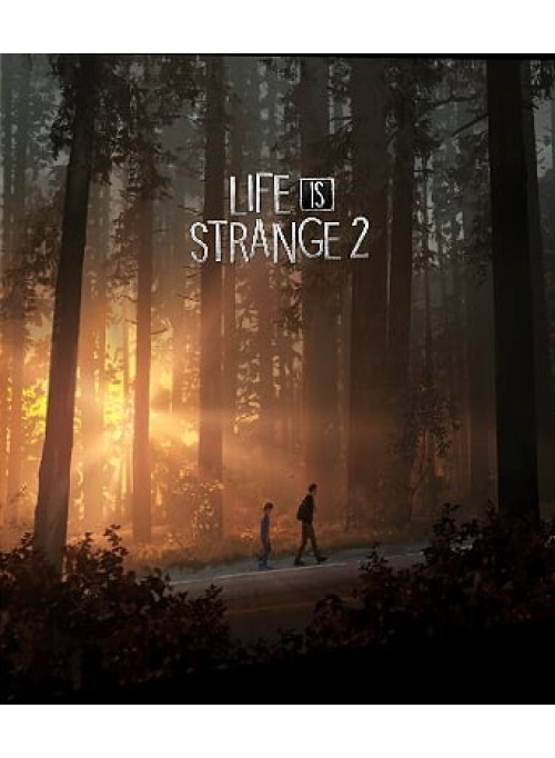 Life is Strange 2 Коллекционное издание (PS4)